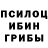 Псилоцибиновые грибы Cubensis AndR MVM
