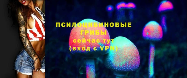 первитин Богородск