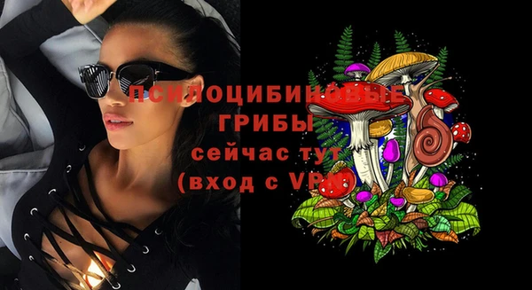 первитин Богородск