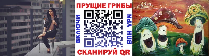 Псилоцибиновые грибы Magic Shrooms  купить наркотики цена  OMG онион  Игра 